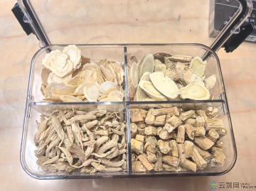 元气四宝茶（中药材）