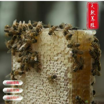 蜂蜜（天然养殖）