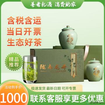 经典特色A级茶陇南龙井250g