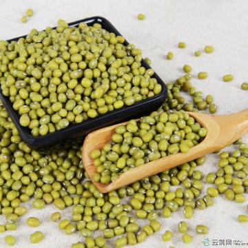 康县绿豆