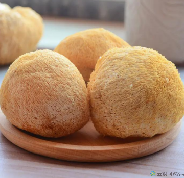 康县猴头菇200克