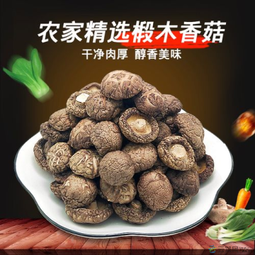 康县香菇250g