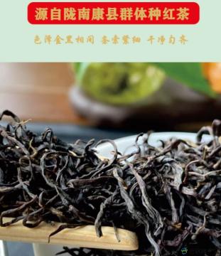 甘肃省陇南市康县老树红茶定制款120g*2盒