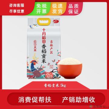 香稻贡米 一级粳米大米5kg