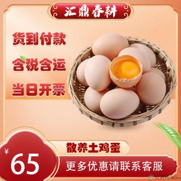 康乐散养农家土鸡蛋 40枚