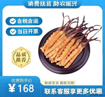 冬虫夏草一级（包税包邮）