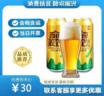 甘肃特产姜饮碳酸罐装饮料鲜姜姜汁汽水饮品无酒精500毫升*5罐（包税包邮）