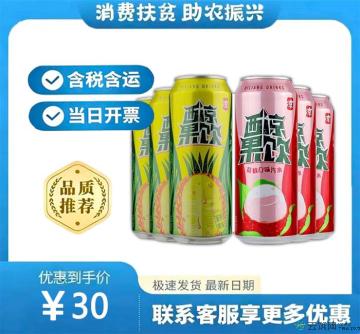 甘肃特产荔枝罐装菠萝碳酸饮料500ml*6罐（包税包邮）