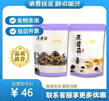 康乐县优选鹿茸菇250g（包税包邮）