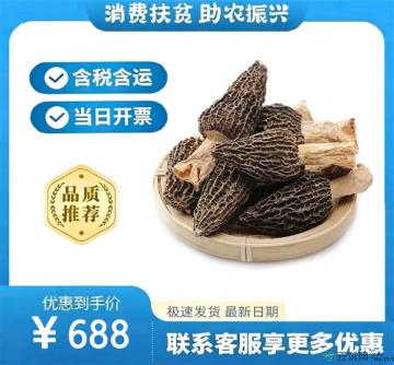 高原羊肚菌500g装（包邮包税）