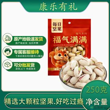 康乐县坚果开心果250克