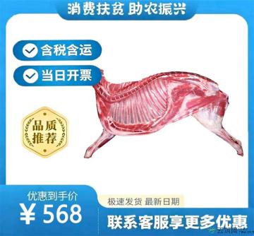 半只羊10斤新鲜羊前腿2.5斤*羊蝎子2斤*羊排2斤*羊后腿3斤（礼盒装）