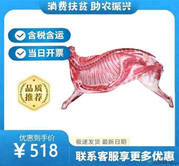 半只羊10斤新鲜羊前腿2.5斤*羊蝎子2斤*羊排2斤*羊后腿3斤（礼盒装）
