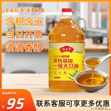康乐县一级大豆油5L