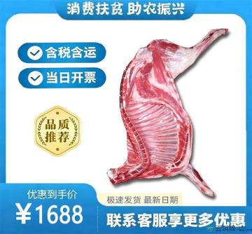 农家散养草膘羊羔《一整只羊》30斤左右