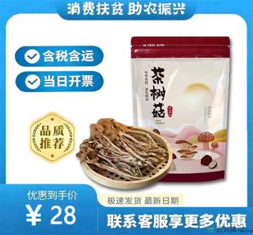 康乐县山珍茶树菇（包税包邮）