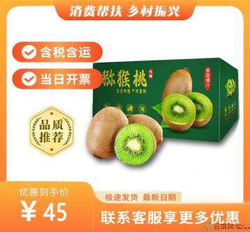 猕猴桃5斤装（包税包邮）