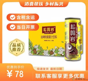 临夏特产啤特果汁（包税包邮）