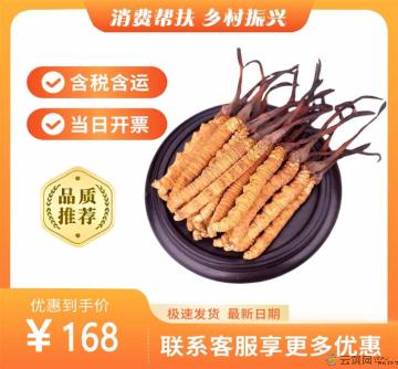 冬虫夏草一级（包税包邮）
