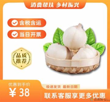 农家鲜百合（包税包邮）