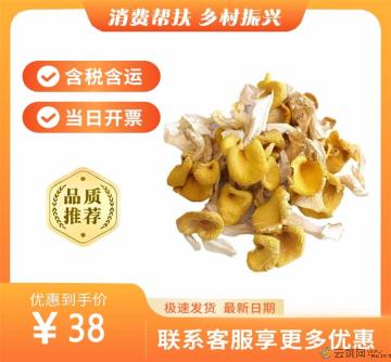 鸡油菌（包税包邮）