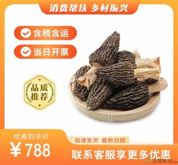 高原羊肚菌500g装（包邮包税）