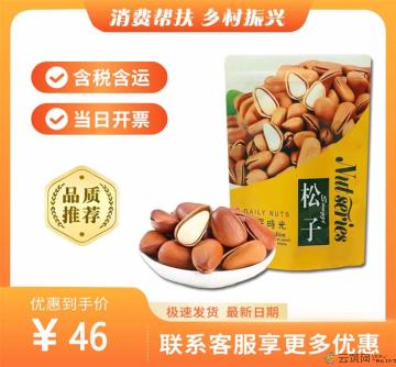 康乐县精选开口松子250g（包税包邮）