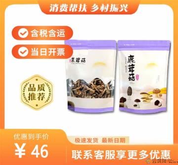 康乐县优选鹿茸菇250g（包税包邮）