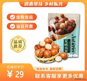 康乐县精选夏威夷果250g（包税包邮）