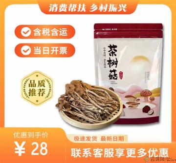 康乐县高原茶树菇200g（包税包邮）