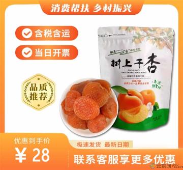康乐县优选吊干杏250g（包税包邮）
