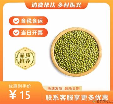 康乐县农家绿豆500g（包税包邮）