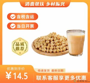 康乐县农家黄豆500g（包税包邮）