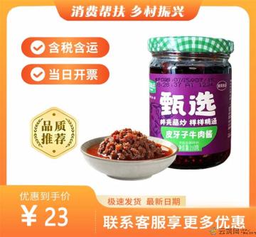 康乐县皮牙子牛肉酱（包税包邮）