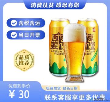 康县特产鲜姜姜汁碳酸汽水无酒精（包税包邮）