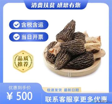 甘肃康县野生羊肚菌250g/袋