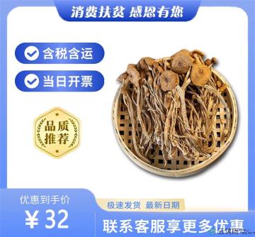 茶树菇袋装干货
