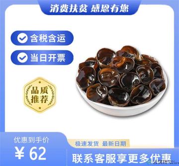 2023新货 甘肃康县黑木耳 椴木小木耳干货 农家自产500g袋装包邮