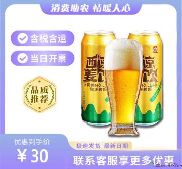 康乐县特产鲜姜姜汁碳酸汽水无酒精（包税包邮）