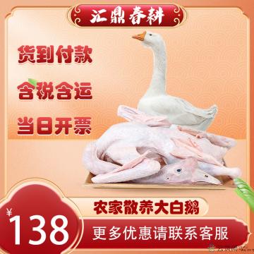 农家散养大白鹅 2.5kg