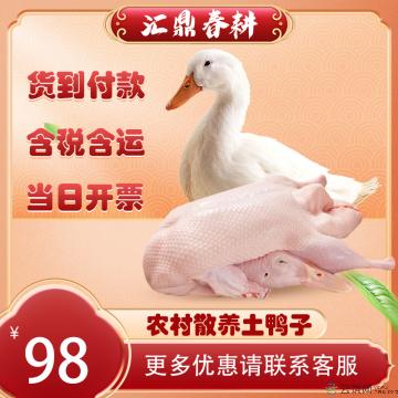农村散养土鸭子整只 1350g