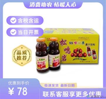 临夏特产啤特果汁（包税包邮）