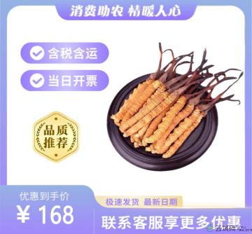 冬虫夏草一级（包税包邮）