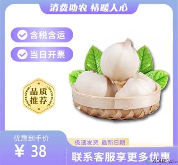 农家鲜百合（包税包邮）