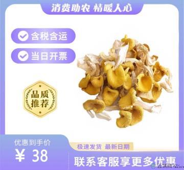 鸡油菌（包税包邮）