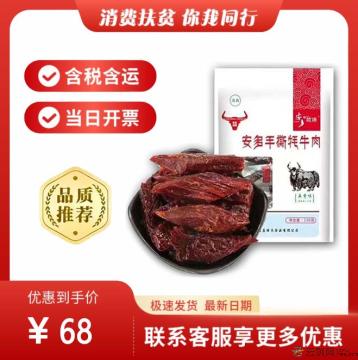 临夏特产手撕牦牛肉（包税包邮）