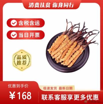 冬虫夏草一级（包税包邮）