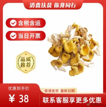 鸡油菌（包税包邮）