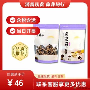 康乐县优选鹿茸菇250g（包税包邮）