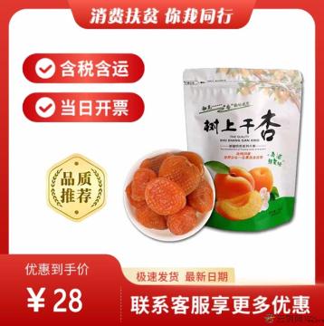 康乐县优选吊干杏250g（包税包邮）